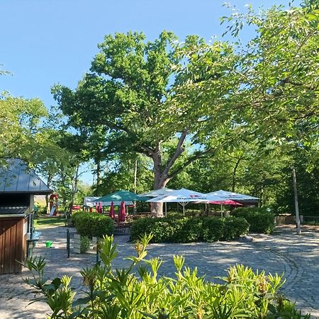 Hotel Schloesschen Sundische Wiese 青斯特 外观 照片