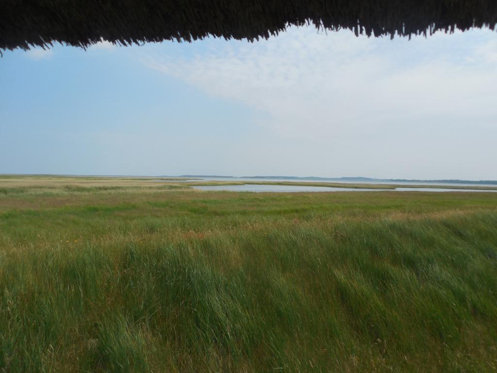 Hotel Schloesschen Sundische Wiese 青斯特 外观 照片